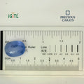 IGITL_194719_SCALE.webp