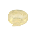 IGITL_211662_FRONT.png