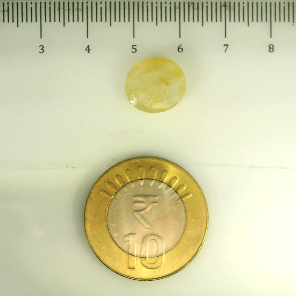 IGITL_201536_SCALE.webp
