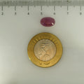 ITLGR_112875_SCALE.webp