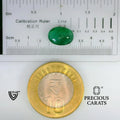 ITLGR_102134_SCALE.webp