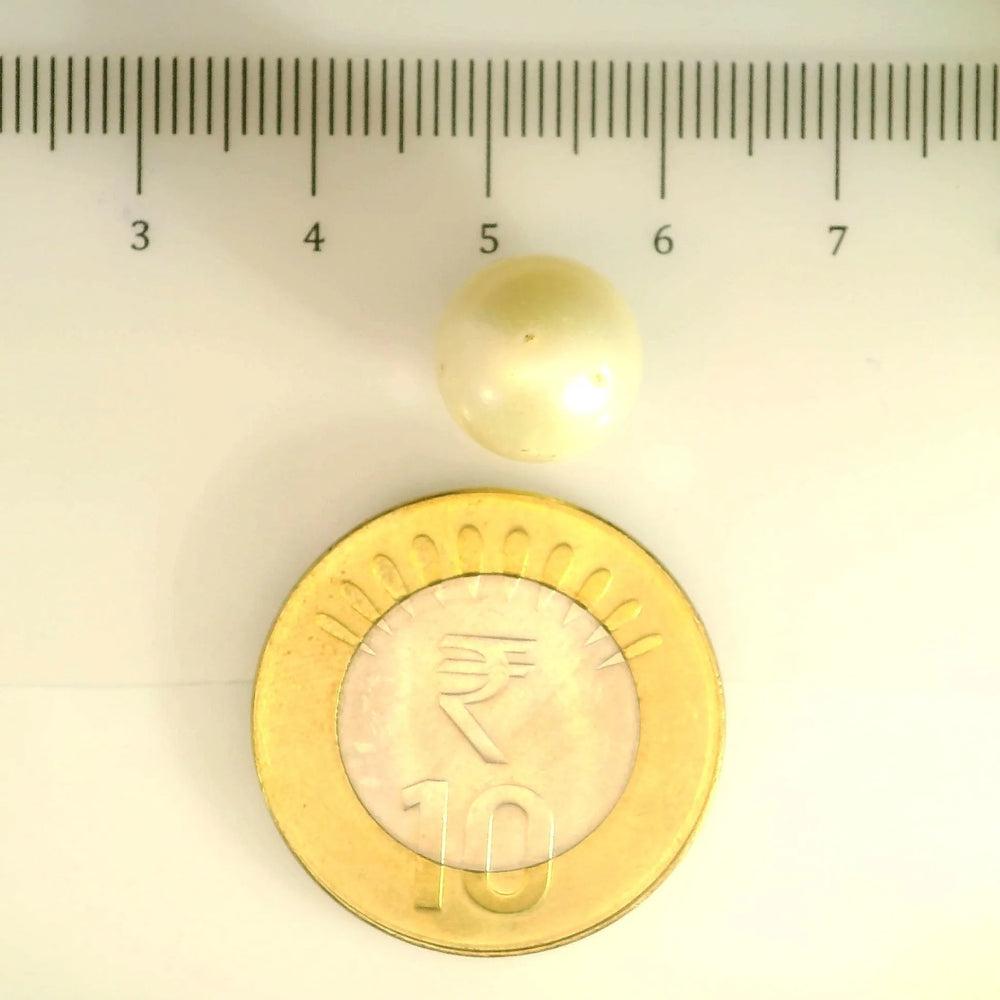 ITLGR_106898_SCALE.webp