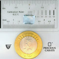 ITLGR_104589_SCALE.webp