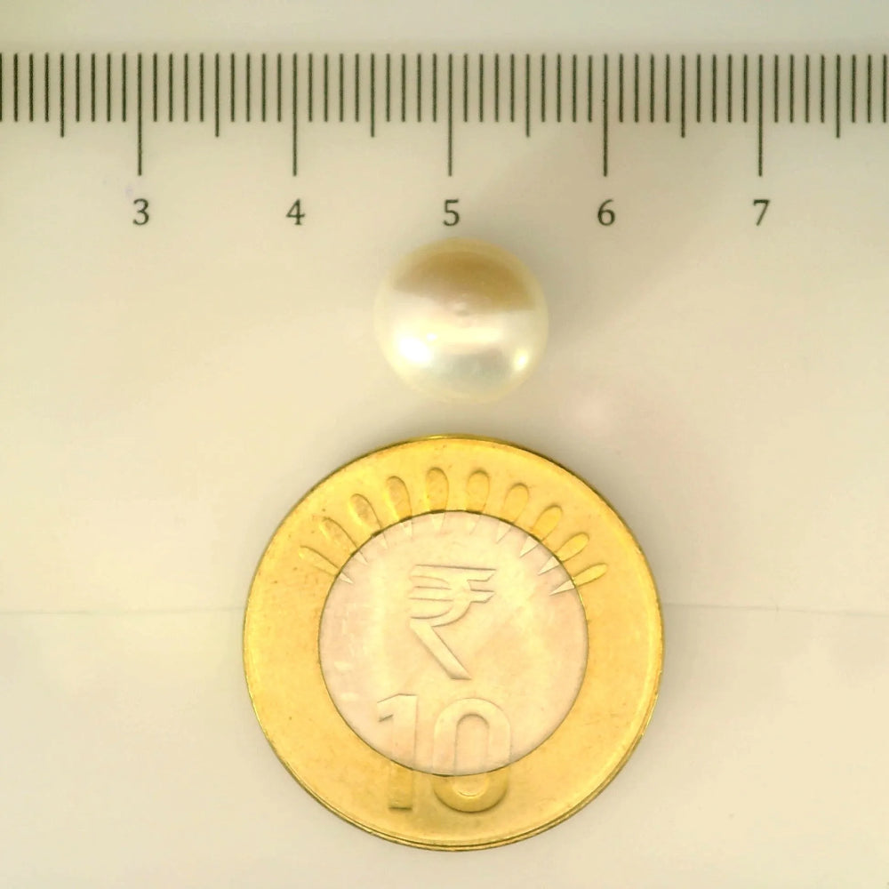 ITLGR_106942_SCALE.webp