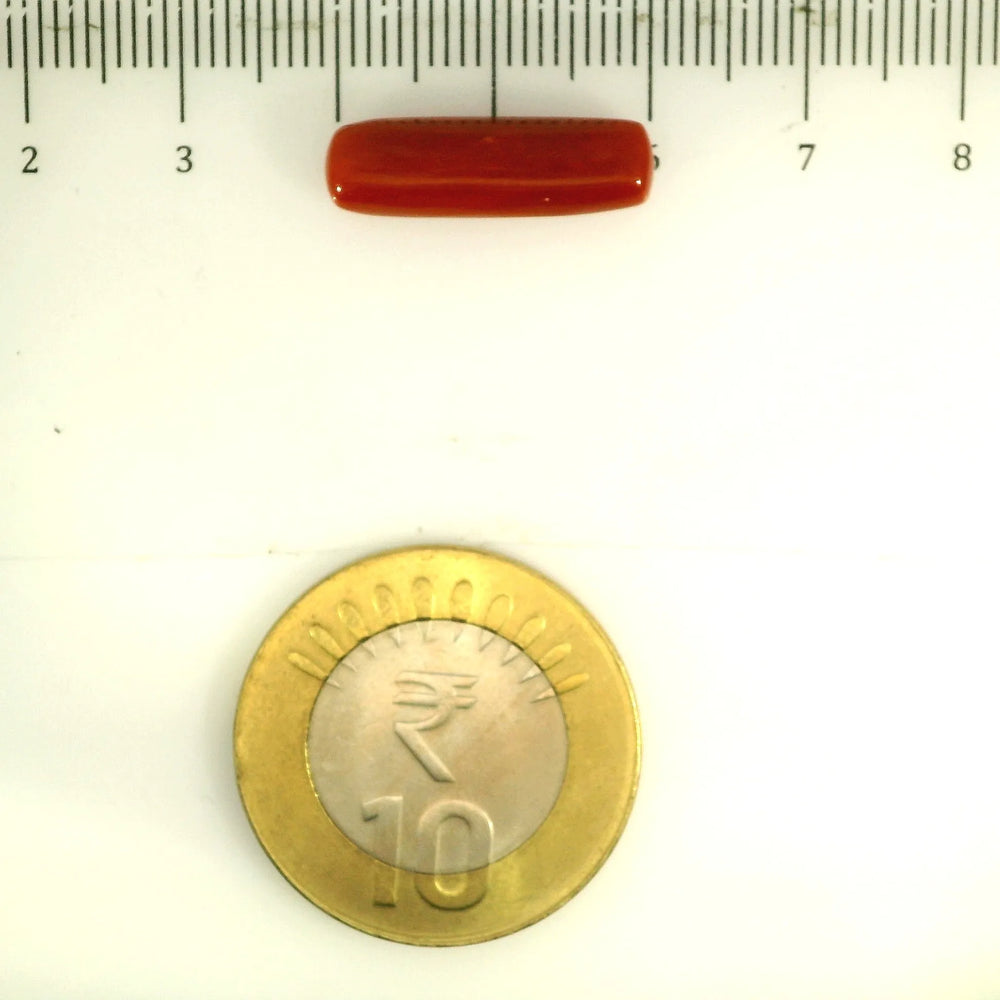 ITLGR_112860_SCALE.webp