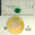 ITLGR_105251_SCALE.webp