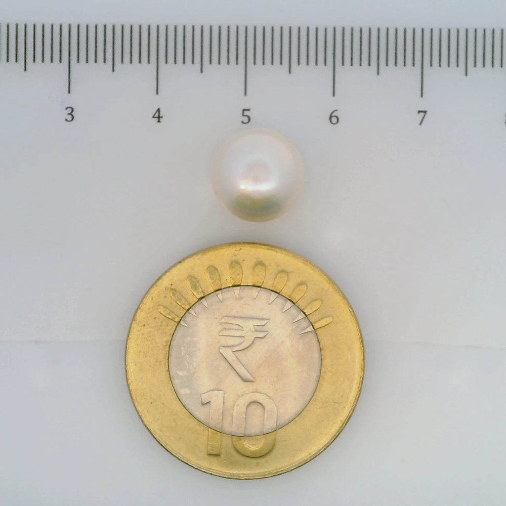 ITLGR_106964_SCALE.webp