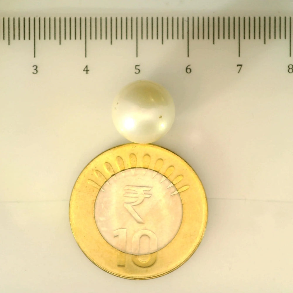ITLGR_106937_SCALE.webp