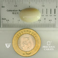 ITLGR_101866_SCALE.webp