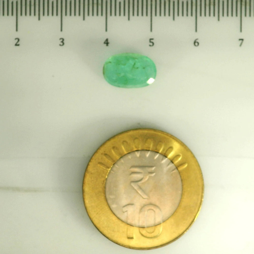 AGR_88378_SCALE.webp