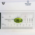 ITLGR_100489_SCALE.webp