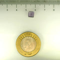 ITLGR_113235_SCALE.webp