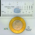 IGITL_197782_SCALE.webp