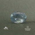 IGITL_197774_FRONT.webp