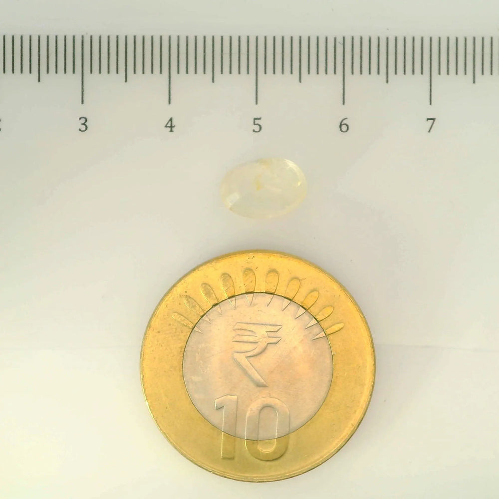 IGITL_200275_SCALE.webp
