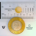ITLGR_100567_SCALE.webp