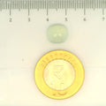 ITLGR_109488_SCALE.webp