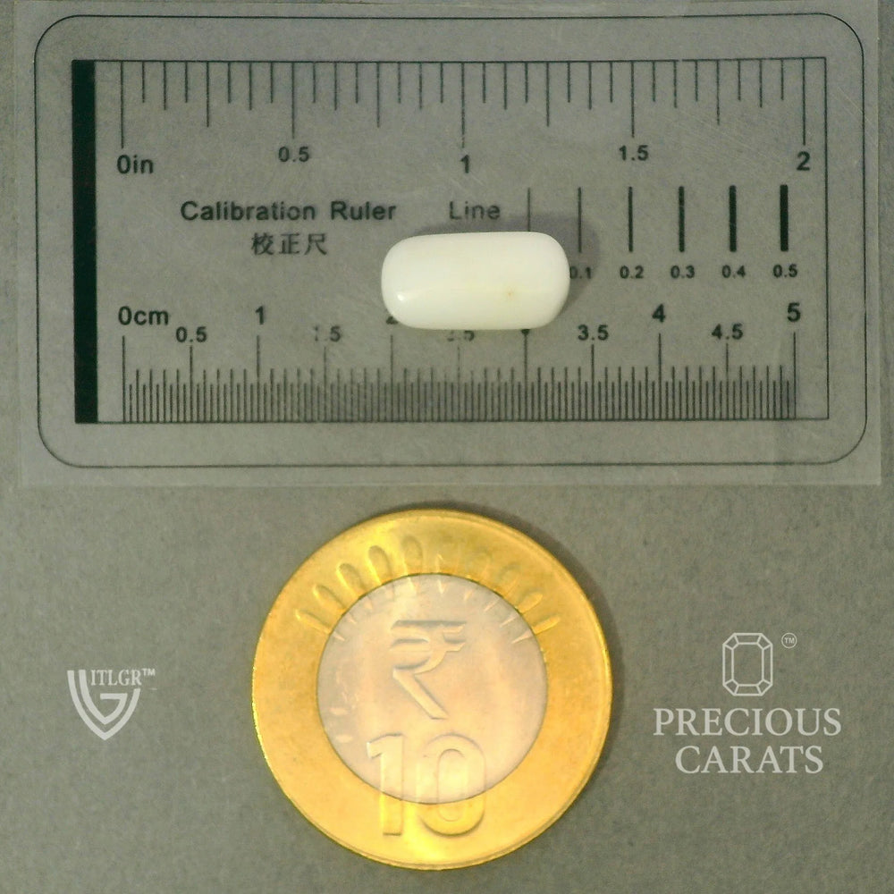 ITLGR_102031_SCALE.webp