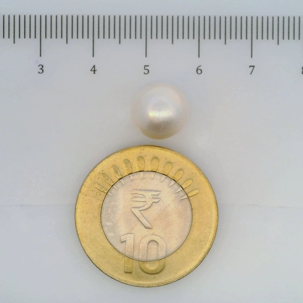 ITLGR_106956_SCALE.webp