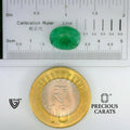 ITLGR_102143_SCALE.webp