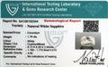 ITLGR_100344_CERTIFICATE.webp