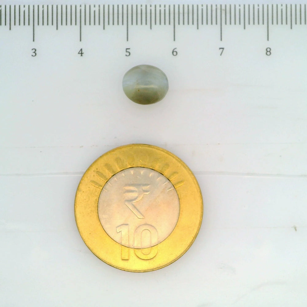 ITLGR_109793_SCALE.webp