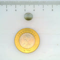 ITLGR_109793_SCALE.webp