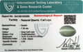 ITLGR_100589_CERTIFICATE.webp