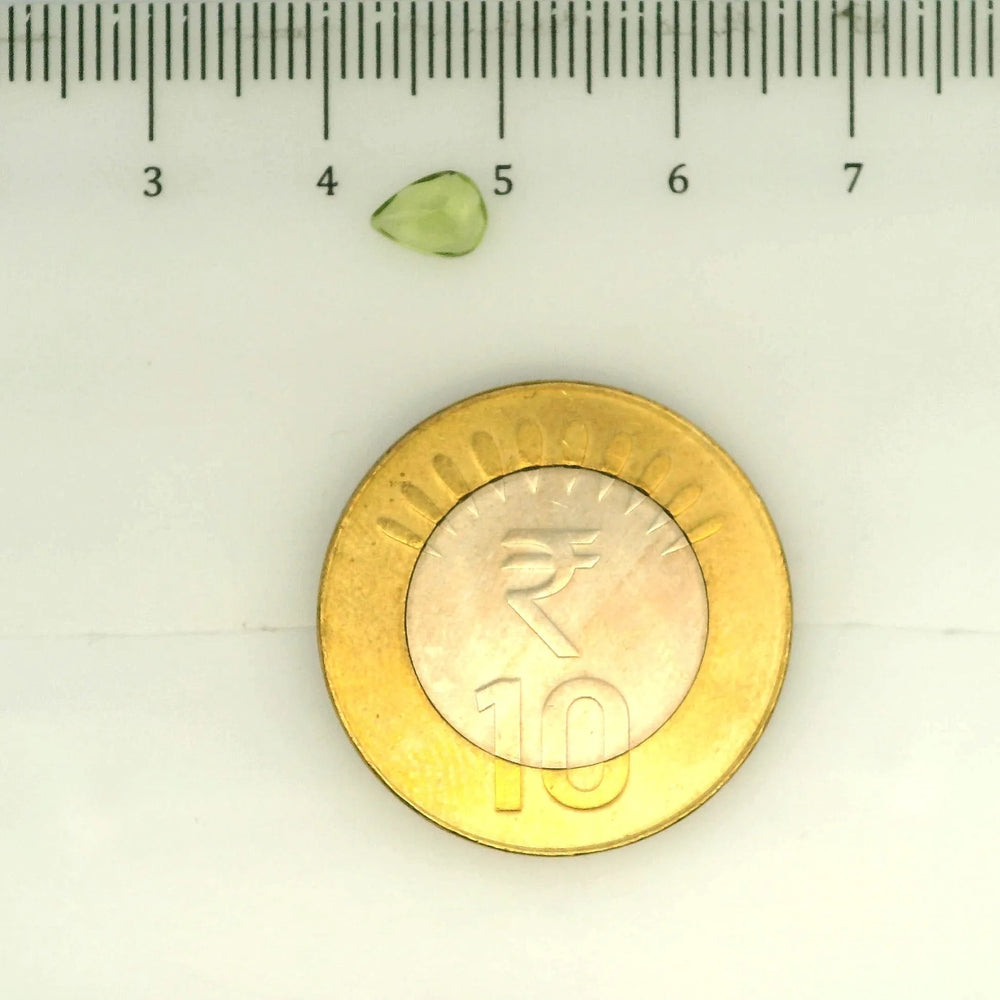 ITLGR_109385_SCALE.webp