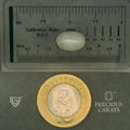 ITLGR_102088_SCALE.webp