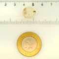 ITLGR_121467_SCALE.webp