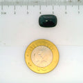 GFCO_28104-4_SCALE.webp