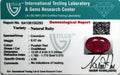 ITLGR_100293_CERTIFICATE.webp