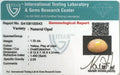 ITLGR_100543_CERTIFICATE.webp