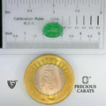 ITLGR_102144_SCALE.webp