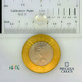 IGITL_197811_SCALE.webp