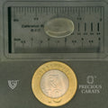 ITLGR_102064_SCALE.webp