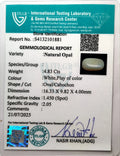ITLGR_101881_CERTIFICATE.webp