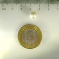 ITLGR_99847_SCALE.webp