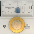 ITLGR_101041_SCALE.webp