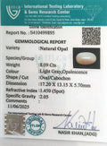 ITLGR_99895_CERTIFICATE.webp