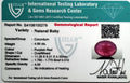 ITLGR_100279_CERTIFICATE.webp