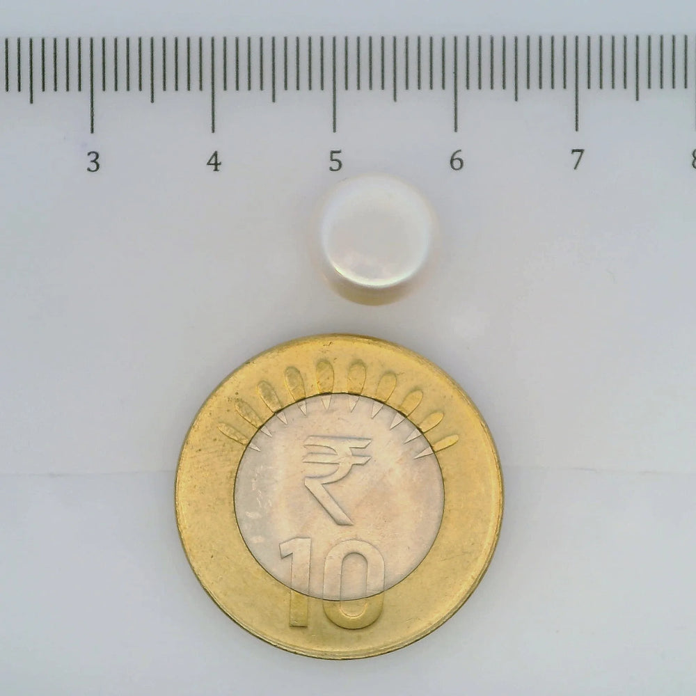 ITLGR_107025_SCALE.webp