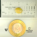 ITLGR_100514_SCALE.webp