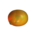 ITLGR_100543_FRONT.png