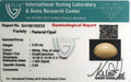 ITLGR_100535_CERTIFICATE.webp