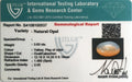 ITLGR_100537_CERTIFICATE.webp