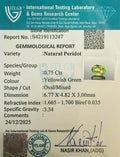 ITLGR_113247_CERTIFICATE.webp