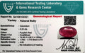 ITLGR_100301_CERTIFICATE.webp