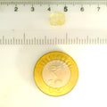 IGITL_211670_SCALE.webp